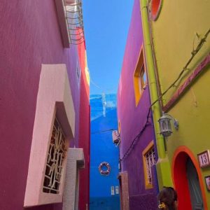 33be498d-8d68-4f85-8342-d299c5cad8e8